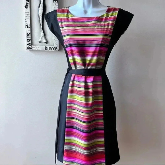 Banana Republic Striped Colorblock Belted Sleeveless Sheath Dress Size 0 - Picture 1 of 8